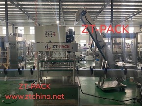 Automatic Linear Twist Capping Machine --Screw Type
